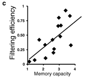 Memory Capacity v Filtering Efficiency